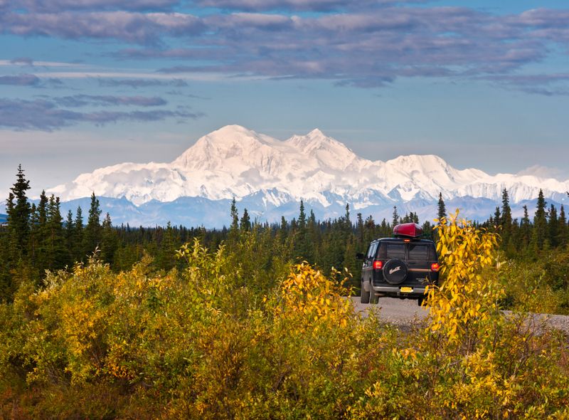 Denali National Park Alaska Noord-Amerika Mt McKinley selfdrive